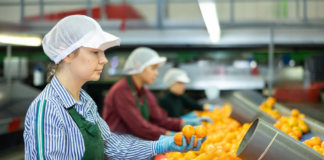SE SOLICITA ENVASADOR DE FRUTAS PARA JORNADA DE MEDIO TIEMPO