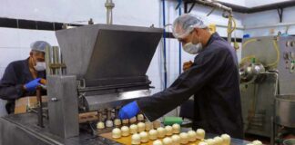 SE REQUIERE PEÓN DE PRODUCCIÓN PARA EMPAQUETADO DE PRODUCTOS, TURNOS ROTATIVOS