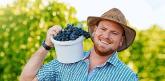 SE REQUIERE TRABAJADOR AGRÍCOLA CON O SIN EXPERIENCIA PARA COSECHA DE FRUTAS