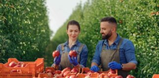 SE SOLICITA PEONES AGRÍCOLAS PARA RECOLECCIÓN DE PRODUCTOS EN FINCA (HOMBRE Y/O MUJER)