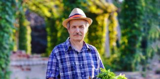 SE SOLICITA TRABAJADOR AGRÍCOLA PARA RECOLECCIÓN DE HORTALIZAS EN COSECHA, NO SE REQUIERE EXPERIENCIA