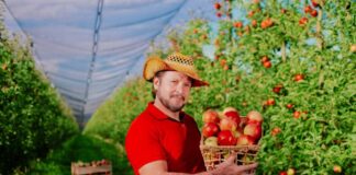 SE SOLICITA TRABAJADOR AGRÍCOLA PARA RECOLECCIÓN DE FRUTA (CON O SIN EXPERIENCIA)