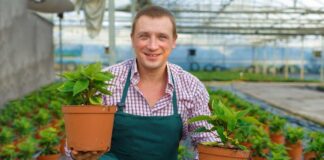 SE SOLICITA TRABAJADOR DE INVERNADERO CON POCA EXPERIENCIA PARA CUIDADO DE PLANTAS