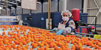 SE SOLICITA OPERARIO DE PRODUCCIÓN PARA FÁBRICA (HORARIO ROTATIVO)