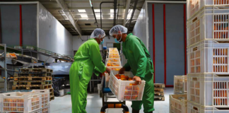 SE SOLICITA EMPACADOR PARA ENVASADO DE PRODUCTOS (TIEMPO COMPLETO)
