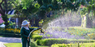 SE SOLICITA JARDINERO PARA RIEGO DE FLORES Y ÁREAS VERDES