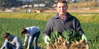 SE REQUIERE TRABAJADOR AGRÍCOLA PARA COSECHA DE ZANAHORIAS Y CEBOLLAS
