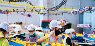 SE SOLICITA PERSONAL DE PRODUCCIÓN PARA PLANTA DE ALIMENTOS, NO SE REQUIERE EXPERIENCIA