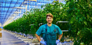 SE SOLICITA TRABAJADOR DE INVERNADERO PARA MANTENIMIENTO DE PLANTAS