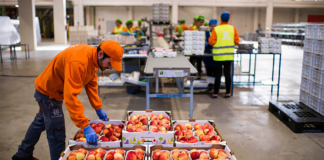 SE SOLICITA EMPACADOR PARA ETIQUETADO DE PRODUCTOS EN FÁBRICA