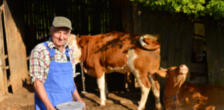 SE REQUIERE TRABAJADOR DE GRANJA PARA CUIDADO DE ANIMALES Y MANTENIMIENTO DE CERCAS