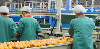 SE SOLICITA OPERARIOS DE PRODUCCIÓN DE ALIMENTOS (CON O SIN EXPERIENCIA)