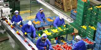 SE REQUIERE OPERARIO DE PRODUCCIÓN PARA CONTROL DE CALIDAD DE ALIMENTOS (TIEMPO COMPLETO)