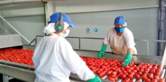 SE SOLICITA OPERARIO DE PRODUCCIÓN PARA ENVASADO DE PRODUCTOS