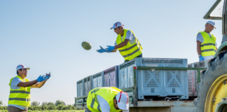SE SOLICITA TRABAJADOR AGRÍCOLA CON MÍNIMA EXPERIENCIA PARA CARGA DE PRODUCTOS EN COSECHA