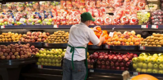 SE REQUIERE AUXILIAR DE PLANTA PARA ACOMODO Y EMPAQUE DE MERCADERÍA