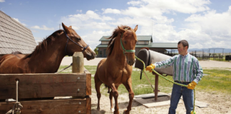 SE REQUIERE PEÓN DE GRANJA PARA MANTENIMIENTO DE INSTALACIONES Y CUIDADO DE ANIMALES