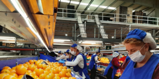 SE REQUIERE AYUDANTE DE PRODUCCIÓN DE ALIMENTOS (MEDIO TIEMPO)
