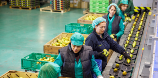 SE SOLICITA OPERARIO DE PRODUCCIÓN PARA EMPAQUE DE PRODUCTOS (HOMBRE Y/O MUJER)