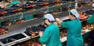 SE REQUIERE AUXILIAR DE PRODUCCIÓN PARA CONTROL DE CALIDAD Y EMPAQUE DE PRODUCTOS