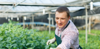 SE SOLICITA TRABAJADOR DE INVERNADERO PARA MANTENIMIENTO GENERAL DE PLANTAS