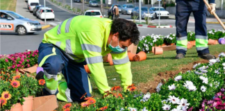 SE SOLICITA JARDINERO PARA MANTENIMIENTO Y RIEGO DE CÉSPED EN ESTABLECIMIENTO