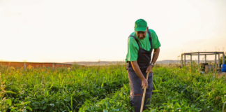 SE SOLICITA PEÓN AGRÍCOLA PARA CUIDADO Y MANTENIMIENTO DE ÁREAS EN FINCA
