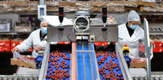 SE SOLICITA OPERARIO DE PRODUCCIÓN PARA ENVASADO DE PRODUCTOS (TURNO ROTATIVO)