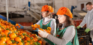 SE SOLICITA PERSONAL DE ALMACÉN PARA BODEGA DE CÍTRICOS