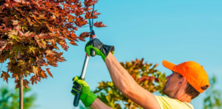 SE SOLICITA JARDINERO PARA MANTENIMIENTO Y RIEGO DE CÉSPED