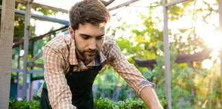 SE REQUIERE TRABAJADOR DE VIVERO CON MÍNIMA EXPERIENCIA PARA MANTENIMIENTO DE PLANTAS