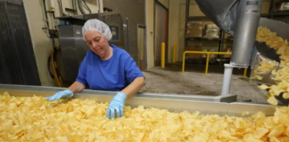 SE SOLICITA PERSONAL DE PRODUCCIÓN PARA CONTROL DE ALIMENTOS (CON O SIN EXPERIENCIA)