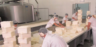 SE REQUIERE EMPACADOR PARA ENVASADO DE QUESO (TIEMPO COMPLETO)