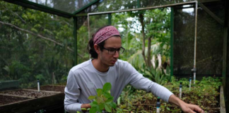 SE SOLICITA AYUDANTE DE JARDINERO PARA PODA Y RASTRILLADO DE ÁREAS VERDES