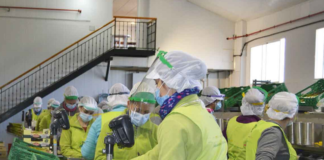 SE SOLICITA AUXILIAR DE PRODUCCIÓN PARA EMPAQUE SE PRODUCTOS