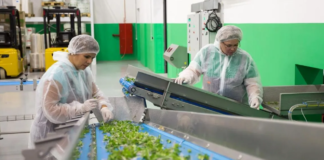SE SOLICITA AYUDANTE DE PRODUCCIÓN PARA CONTROL DE PRODUCTOS