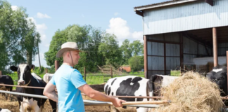 SE SOLICITA TRABAJADOR DE GRANJA PARA CUIDADO DE ANIMALES Y MANTENIMIENTO DE INSTALACIONES