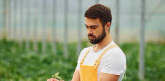 SE SOLICITA PERSONAL DE VIVERO, NO SE REQUIERE EXPERIENCIA