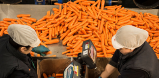 SE REQUIERE OPERARIOS DE PRODUCCIÓN CON DISPONIBILIDAD DE HORARIOS ROTATIVOS