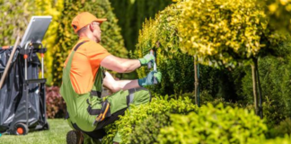 SE REQUIERE JARDINERO/A DE LUNES A VIERNES (TIEMPO PARCIAL)
