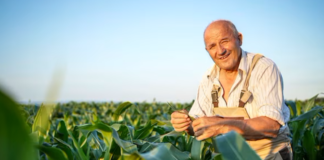 SE SOLICITA TRABAJADOR AGRÍCOLA PARA CONTROL DE PRODUCTOS EN COSECHA DE SOJA Y FRIJOLES