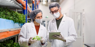 SE REQUIERE OPERARIO DE PRODUCCIÓN PARA ENVASADO Y ETIQUETADO DE PRODUCTOS (MEDIO TIEMPO)