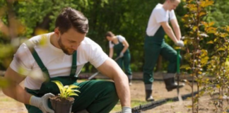 SE SOLICITA JARDINERO DE TIEMPO COMPLETO, NO SE REQUIERE EXPERIENCIA