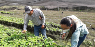 SE SOLICITA TRABAJADOR DE INVERNADERO DE TIEMPO COMPLETO PARA MANTENIMIENTO DE PLANTAS