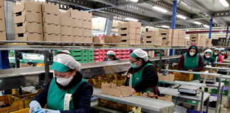 SE SOLICITA AUXILIAR DE EMPAQUE HOMBRE Y/O MUJER PARA LABORES GENERALES