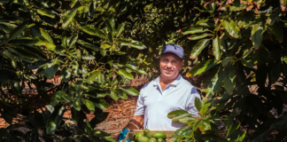 SE REQUIERE TRABAJADOR AGRÍCOLA PARA COSECHA DE VERDURAS (TIEMPO COMPLETO)