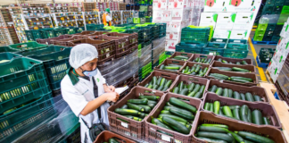 SE SOLICITA OPERARIO DE PRODUCCIÓN PARA EMPAQUE DE PRODUCTOS (TURNOS ROTATIVOS)