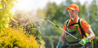 SE REQUIERE JARDINERO CON O SIN EXPERIENCIA PARA PODADO Y RIEGO DE PLANTAS