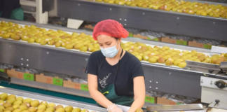 SE SOLICITA ENVASADOR DE ALIMENTOS 5 DÍAS A LA SEMANA (LUNES A VIERNES)