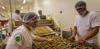 SE SOLICITA EMPACADOR PARA CONTROL DE CALIDAD Y SELLADO DE PRODUCTOS (MÍNIMA EXPERIENCIA)